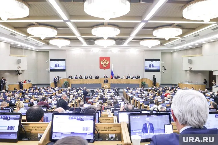 В Госдуме хотят доработать законы, связанные с бездомными животными