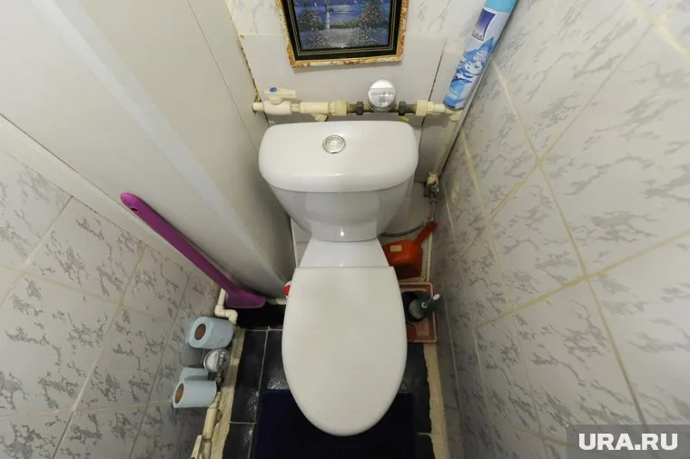 Беременная хозяйка квартиры Инесса Метлюк едва не провалилась под пол вместе с унитазом