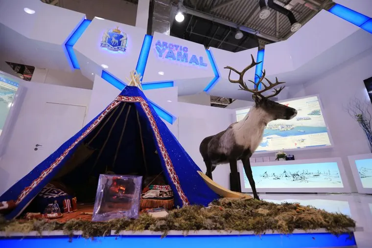 Форум Сочи-2014. Обход стендов, олень, юрта, стенд янао, ямал