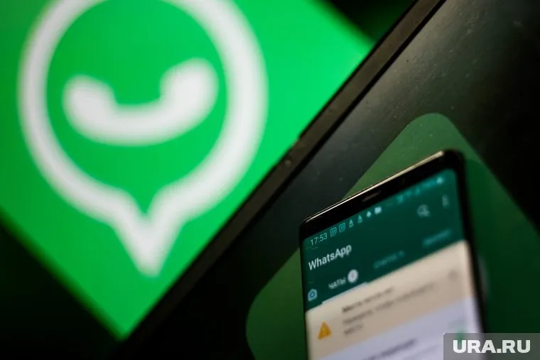 Новые каналы в WhatsApp будут содержать антироссийский характер, заявил Александр Хинштейн