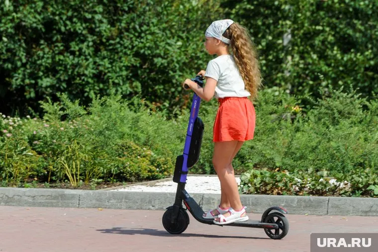 Женщина с ребенком не спешились на «зебре», из-за чего водитель не успел среагировать