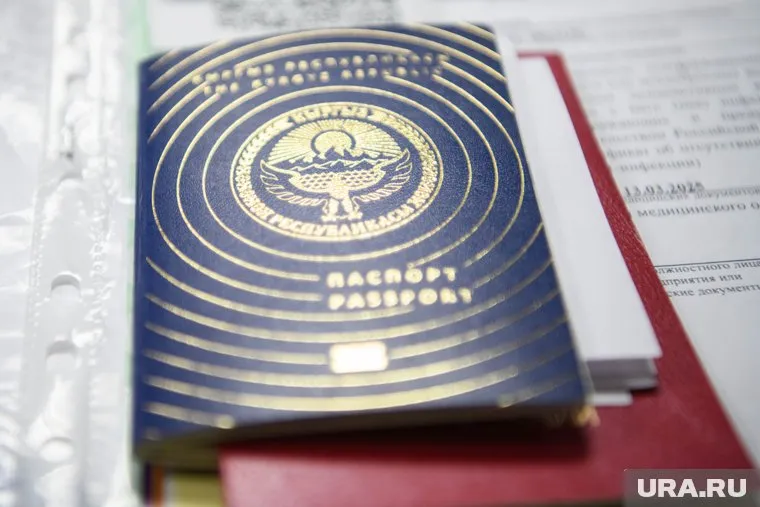 Цифровой профиль для мигрантов начнут создавать с 30 июня