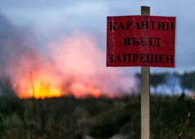 В Казанском районе Тюменской области ввели карантин по бешенству животных