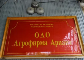 Фотография из галереи