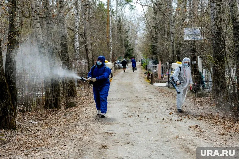 Запланировано обработать девять тысяч гектаров