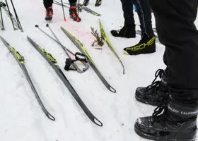 Фотография из галереи