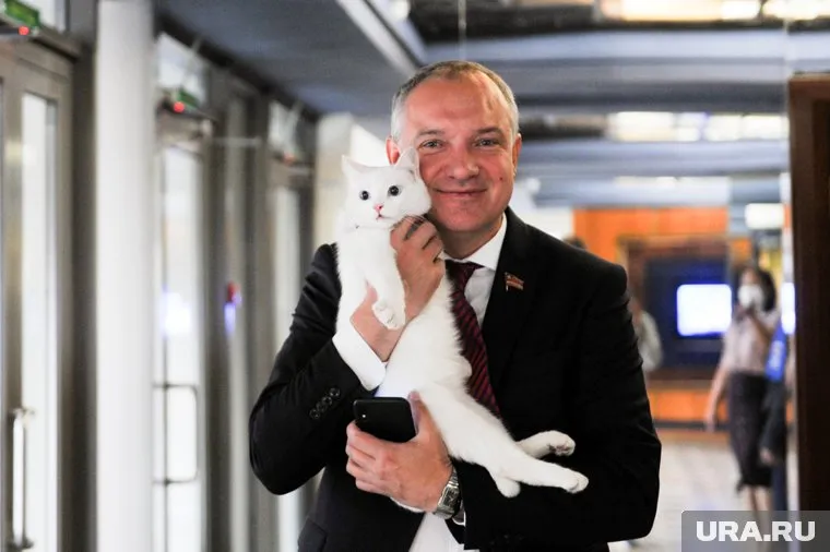 Единороссы подыскивают кандидата на мандат Владимира Павлова, перешедшего из заксобрания в Госдуму