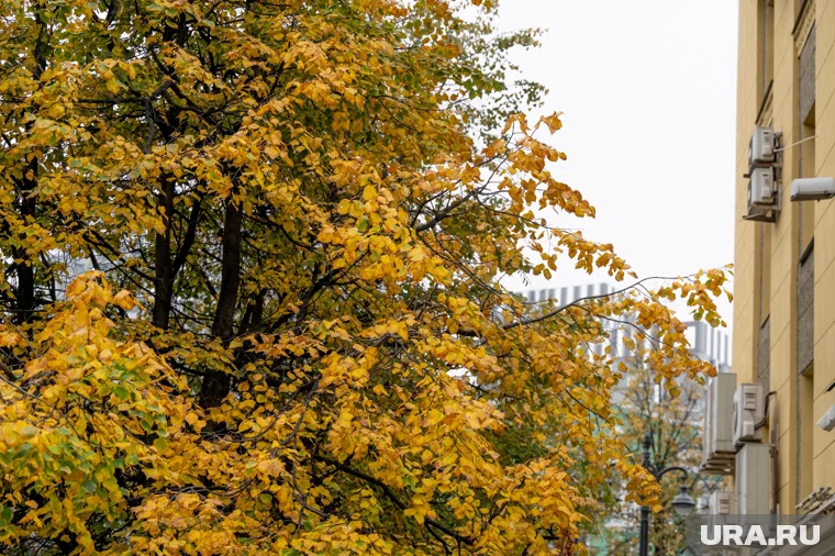 Температура начнет стремительно падать после 9 октября