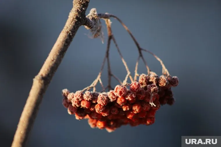 Синоптики прогнозируют похолодание до минус трех градусов