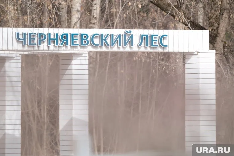 Место отдыха в Черняевском лесу отремонтировали