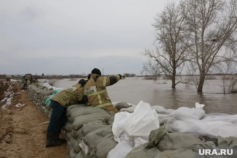 Работы по укреплению дамбы ведутся непрерывно