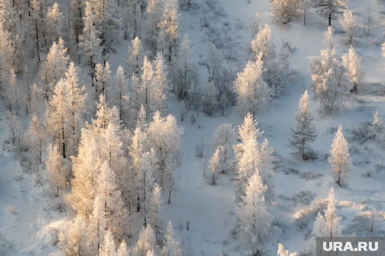 Вероятность осадков составит от 5 до 87 процентов
