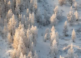 Резкое похолодание и редкий снег: какая погода будет в ЯНАО на неделе