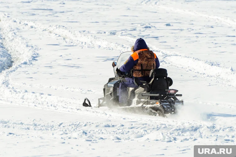 Поиски семьи Усольцевых продолжаются