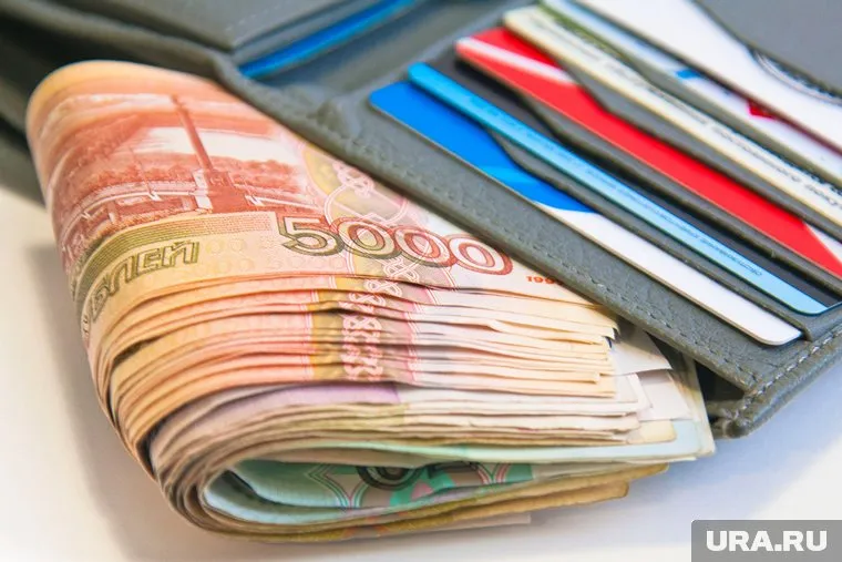 Среднемесячная зарплата в Курганской области выросла за год на 8,5%