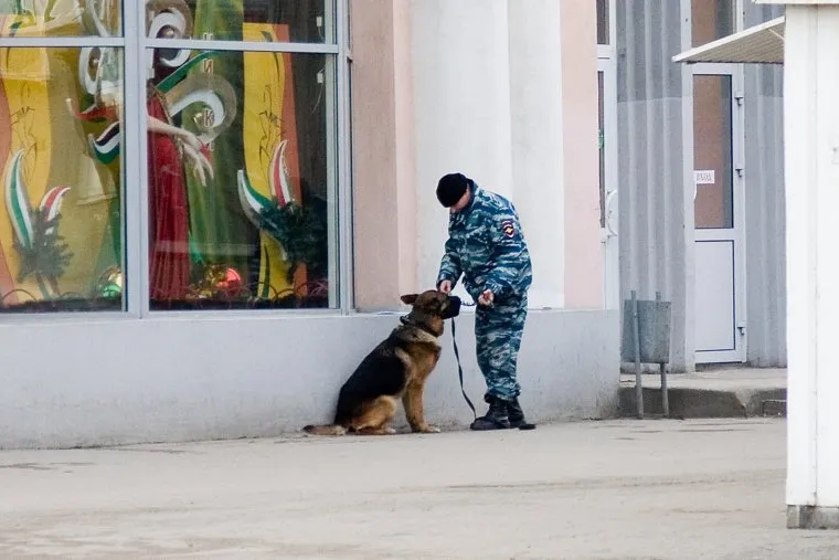 Взрывное устройство
Курган
остановка у Куйбышева 75
22.11.2013г, граната на остановке, отцепление, полиция, полицейский с собакой