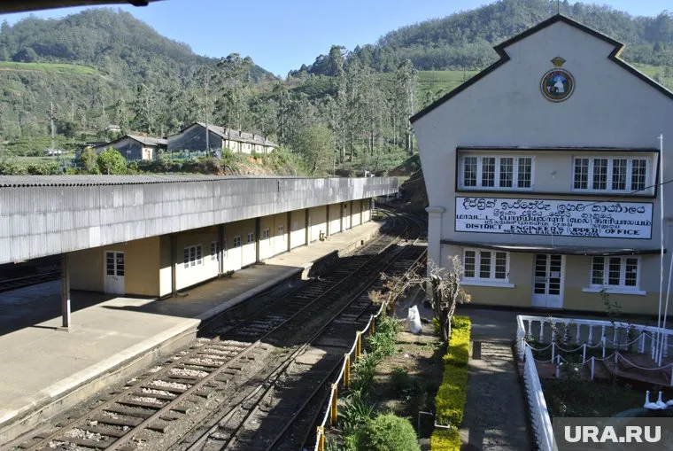 На Шри-Ланке участились случаи домогательств в отношении граждан