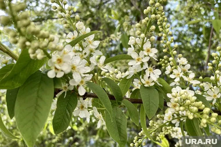 В апреле в Челябинской области ожидается жаркая погода
