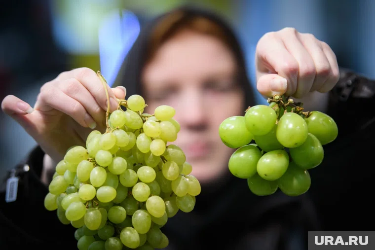 Килограмм гигантского зеленого винограда обойдется в 359 рублей