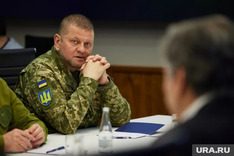 В минобороны Украины подали петицию об увольнении Валерия Залужного