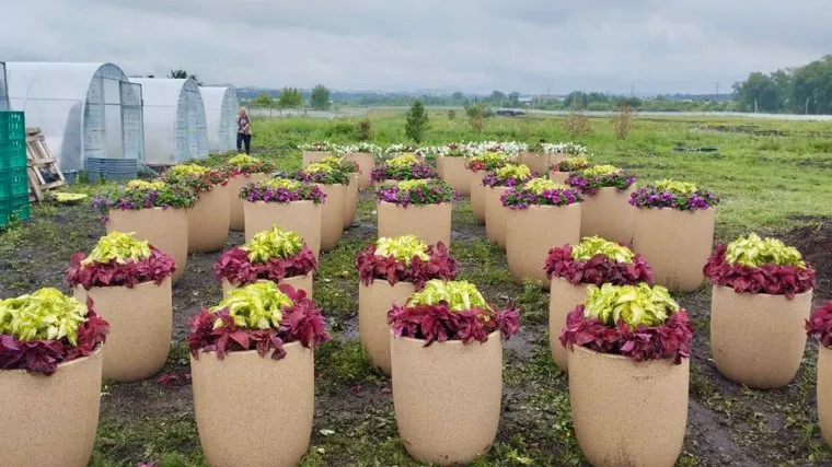 Вазоны с цветами украсят центр Челябинска 