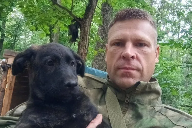 файл