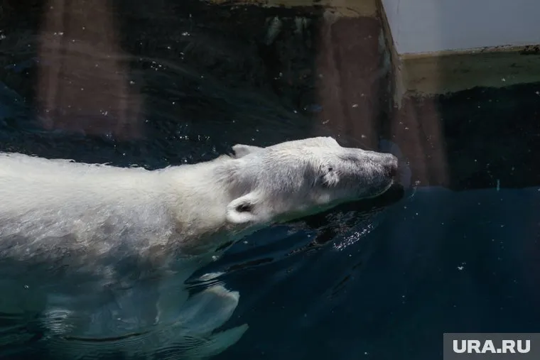 Уже установлено специальное бронированное стекло толщиной в десять сантиметров, которое обеспечит безопасность