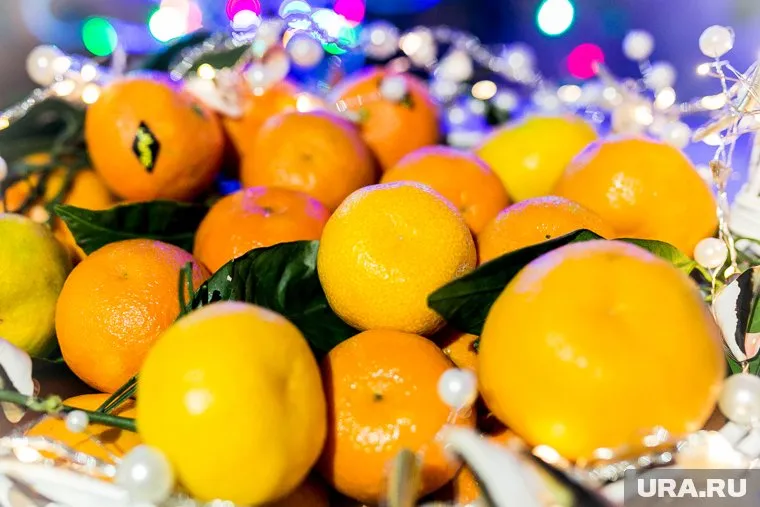 Абхазские мандарины почти не отличить от турецких, отметила Алиса Храмова