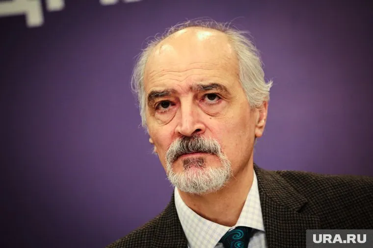 Башар Джаафари просит политического убежища