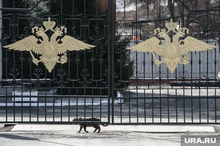 Данные Владимира Петрова находятся базе МВД