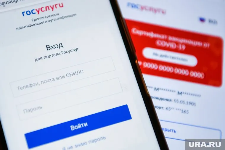 Челябинцы стали чаще заходить на портал "Госуслуги"