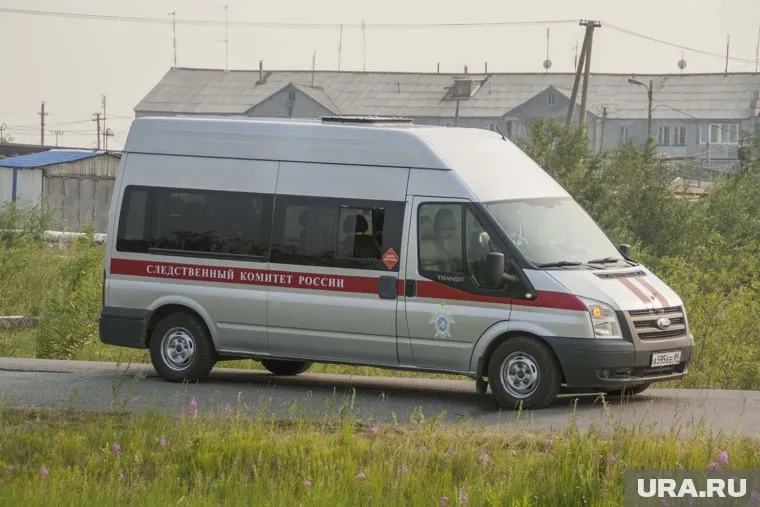 В Челябинской области молодая женщина убила своего сына