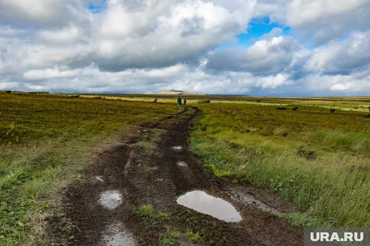 Врачи преодолели 155 км по бездорожью (архивное фото)
