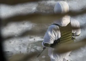 Фотография из галереи