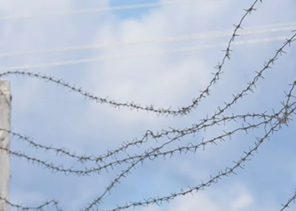 Фотография из галереи