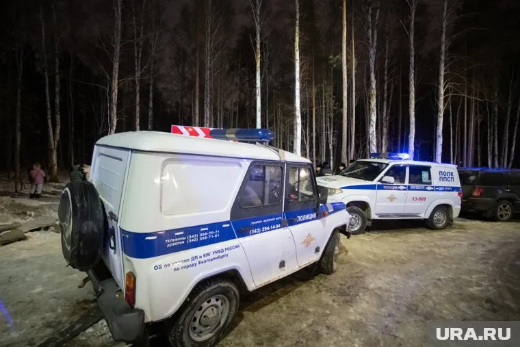 Труп найден в лесу по улице Кедровой 