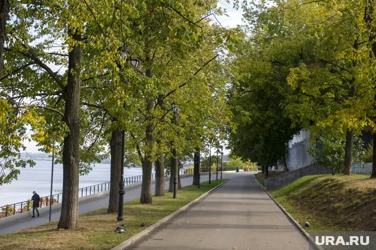 На берегу городского пруда появится благоустроенная набережная (архивное фото)
