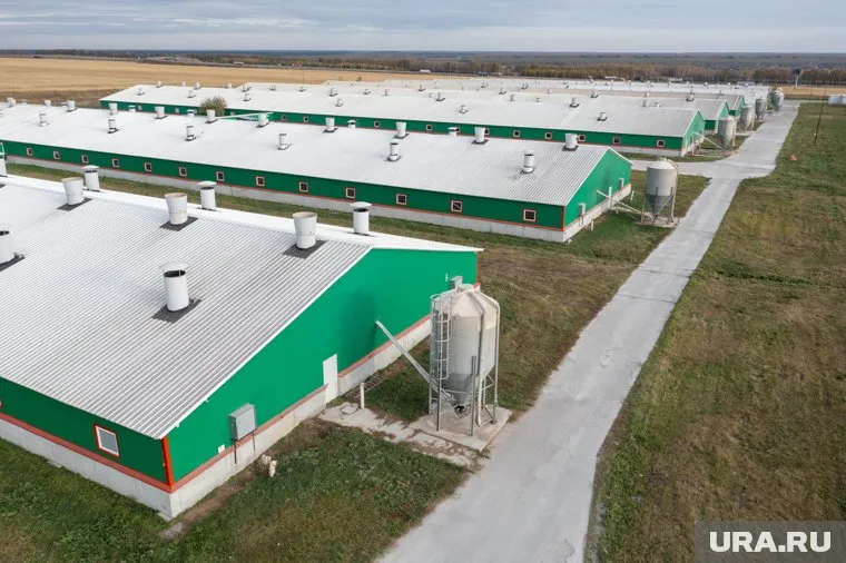 В «Сибагро» рассчитывают, что экскурсии позволят привлечь школьников на работу в структуры компании