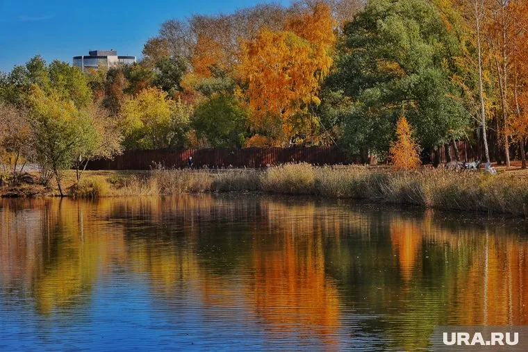 В Кургане синоптики прогнозируют температуры воды выше нормы