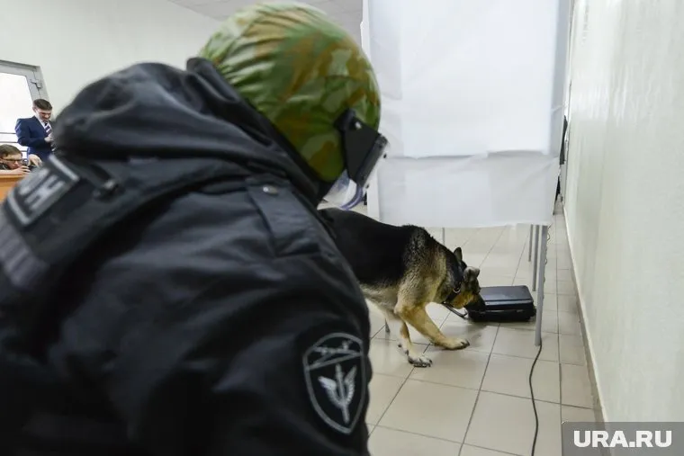 В двух челябинских судах ищут бомбу