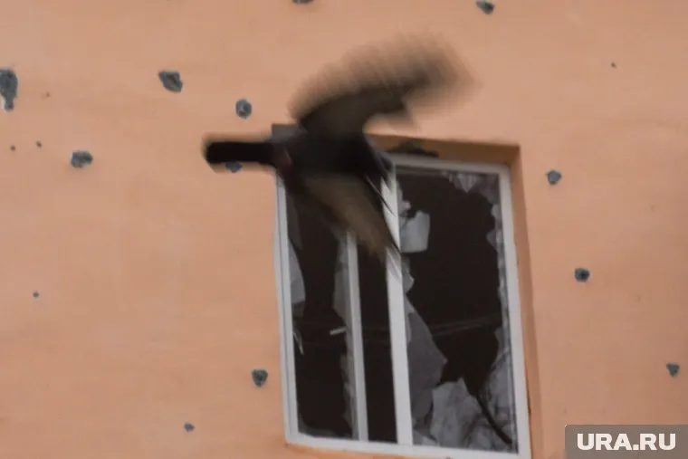 В белгородском селе Отрадное разорвался снаряд