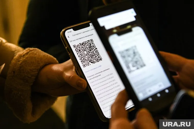 Вместо термина «QR-код» нужно использоваться максимально понятную для всех терминологию, считают в Общественной палате