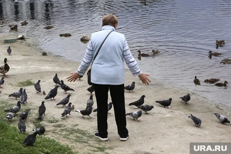 Гусев назвал отмену статуса предпенсионера несправедливой мерой