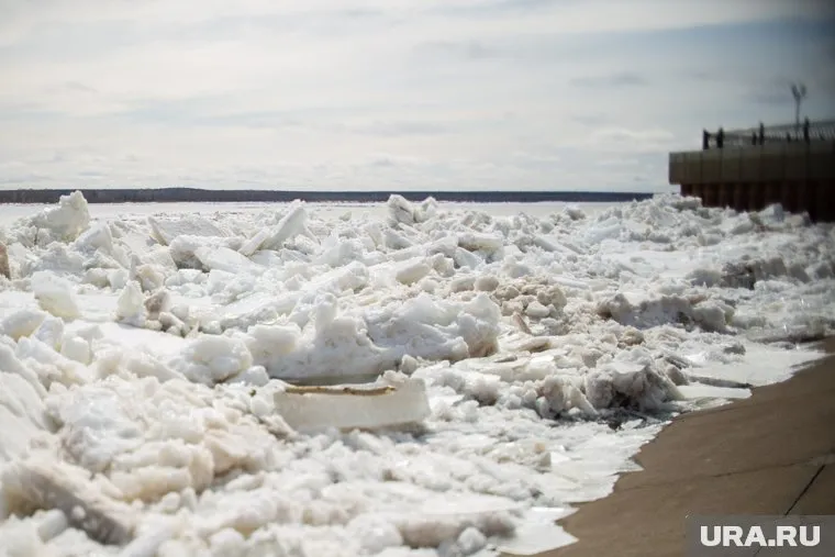 За сутки уровень воды вырос на 23 см