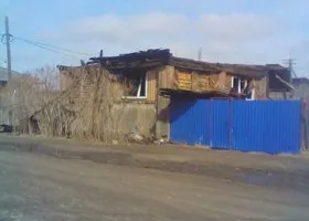 В Зауралье селянка, пытаясь убить сына и внуков, спалила дом