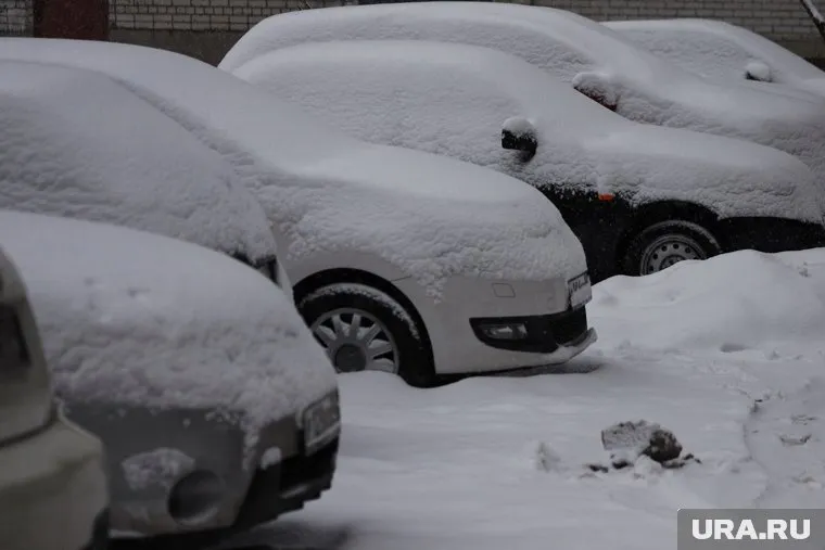 Уровень выпавшего снега достиг отметки в 39 сантиметров
