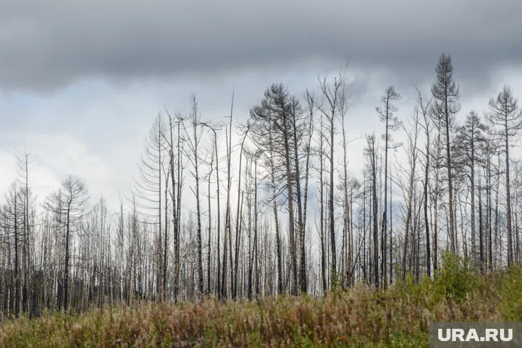 Тело нашли в Юго-Западном районе (архивное фото)