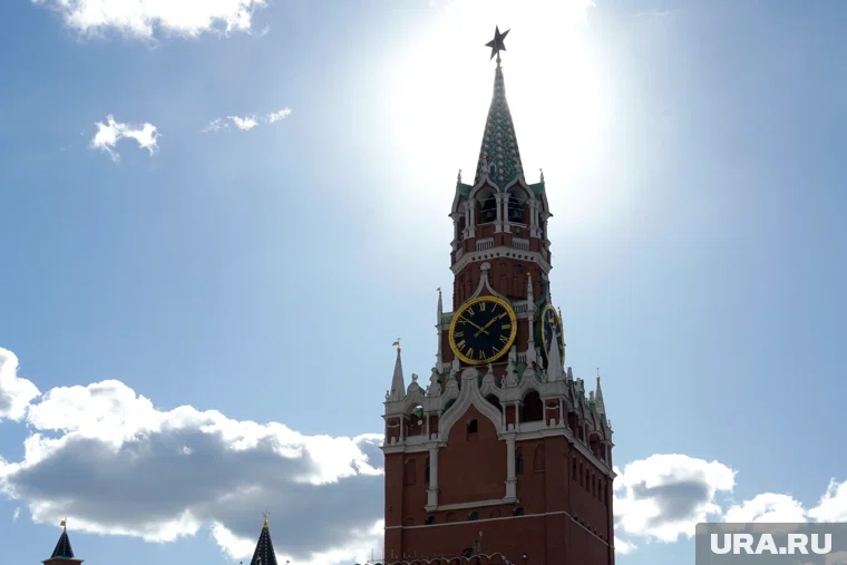 Шадринские школьнику отпразднуют Новый год в Кремле