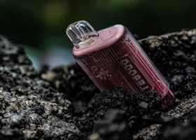 Власти Ямала готовы запретить продажу электронных сигарет