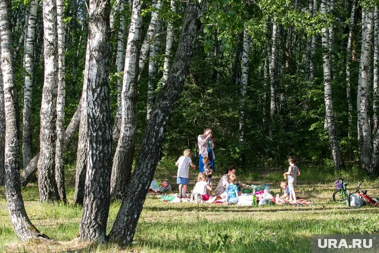 Несмотря на изменения, отдых в лесах для тюменцев все еще под запретом